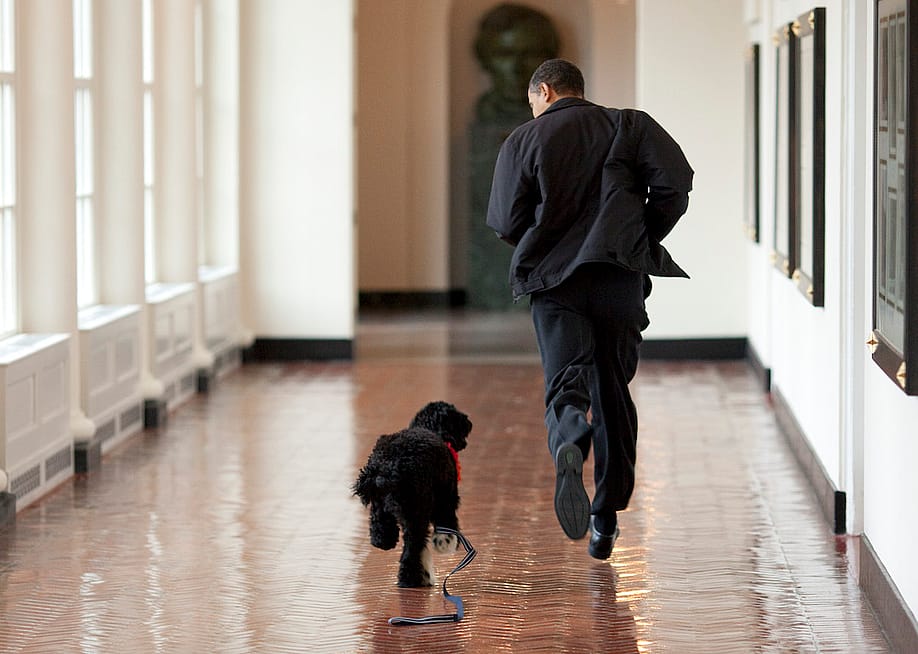 Pete Souza // The White House via Getty Images