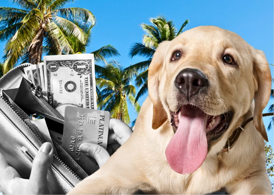 Photo Illustration by Stacker // Canva