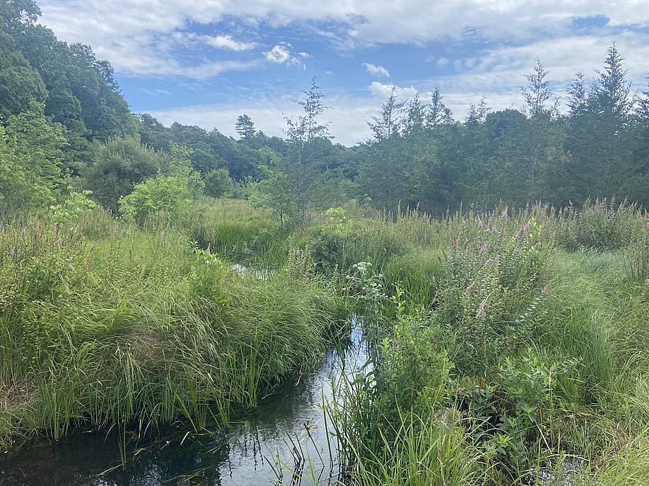 Massachusetts Division of Ecological Restoration