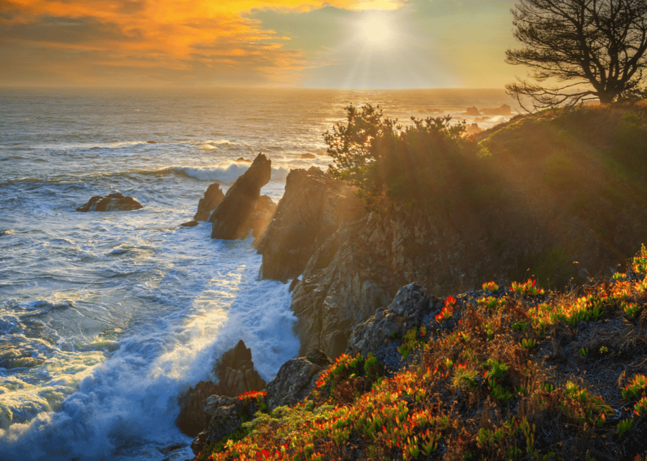 17 Living Art / Shutterstock