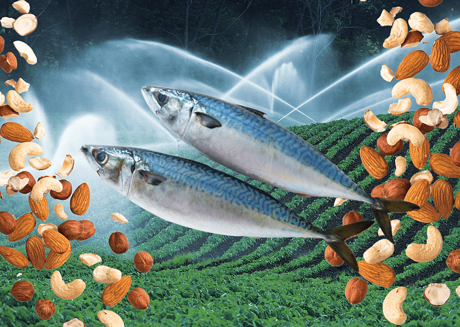 Photo Illustration by Stacker // Canva