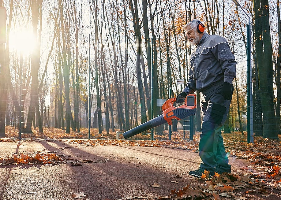 Serhii Bobyk // Shutterstock