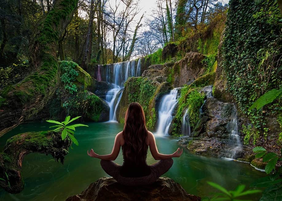 Teo Tarras // Shutterstock