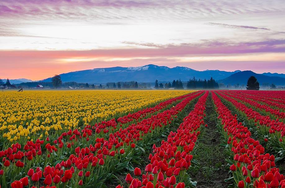 RuthChoi // Shutterstock
