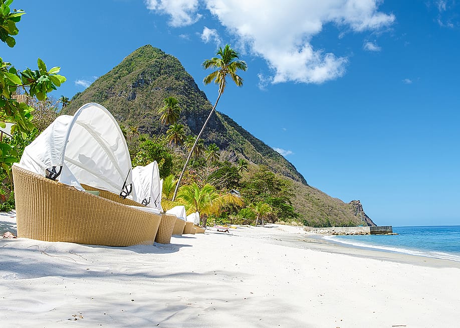 fokke baarssen // Shutterstock