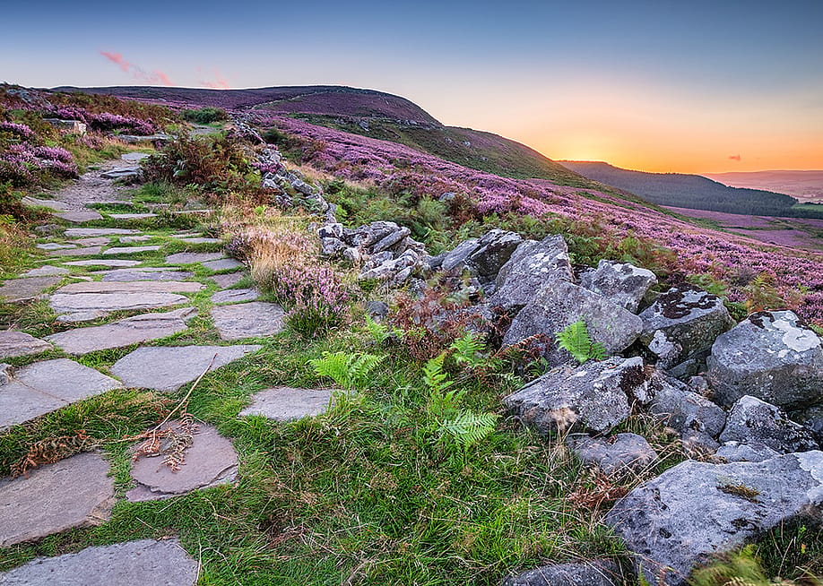 Dave Head // Shutterstock