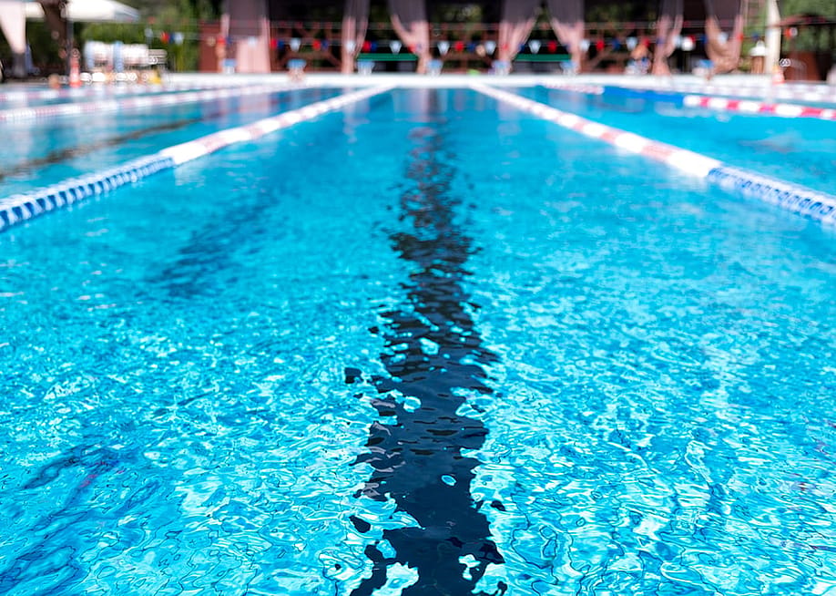 natalya sterleva // Shutterstock