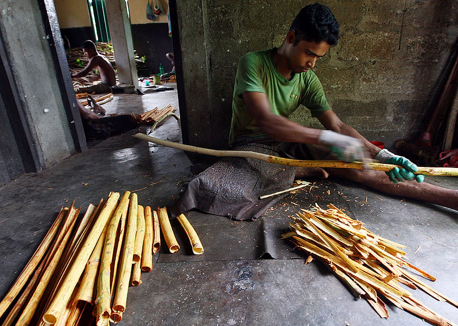 Buddhika Weerasinghe // Getty Images