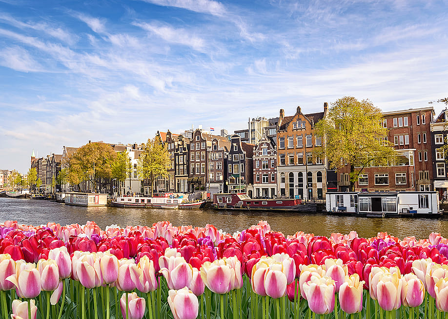 Noppasin Wongchum // Shutterstock