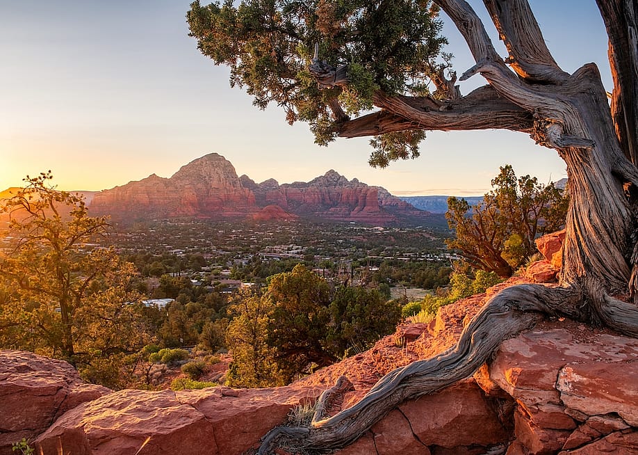 anthony heflin // Shutterstock