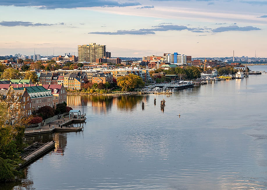 Steve Heap // Shutterstock