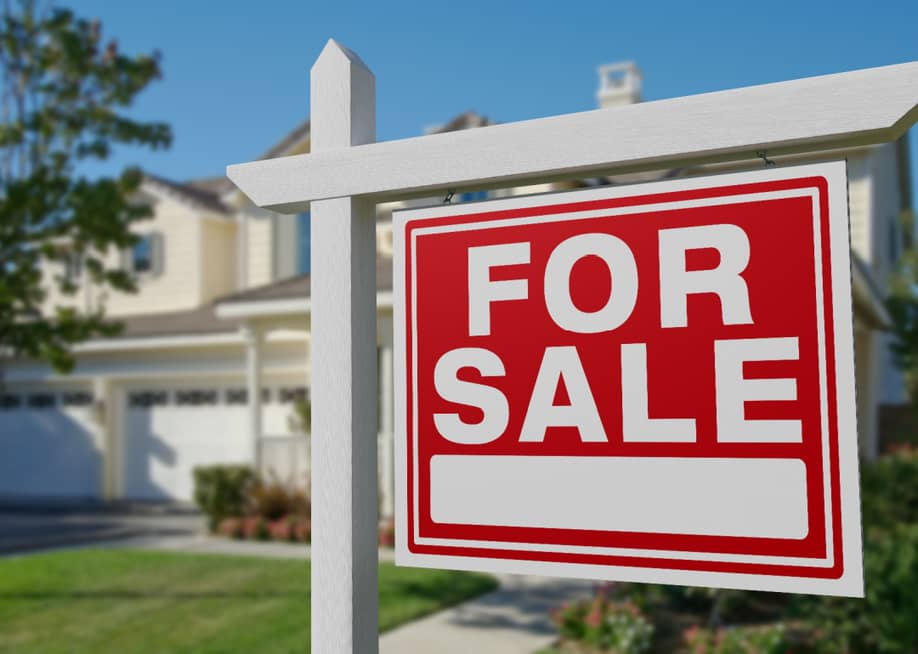 Andy Dean Photography // Shutterstock