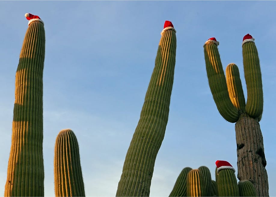 Nature's Charm // Shutterstock