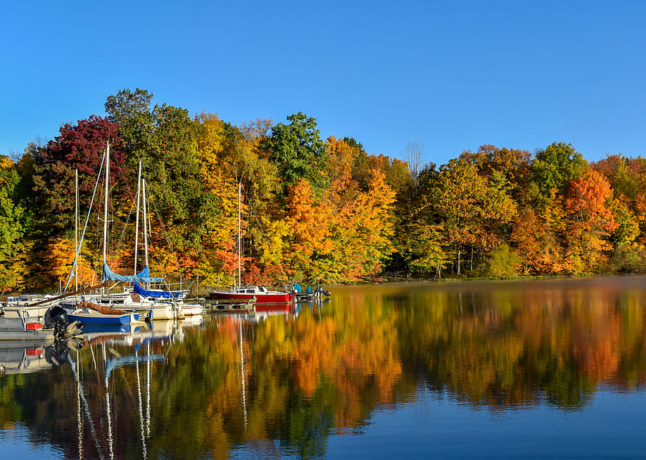 Donna Wickerham // Shutterstock
