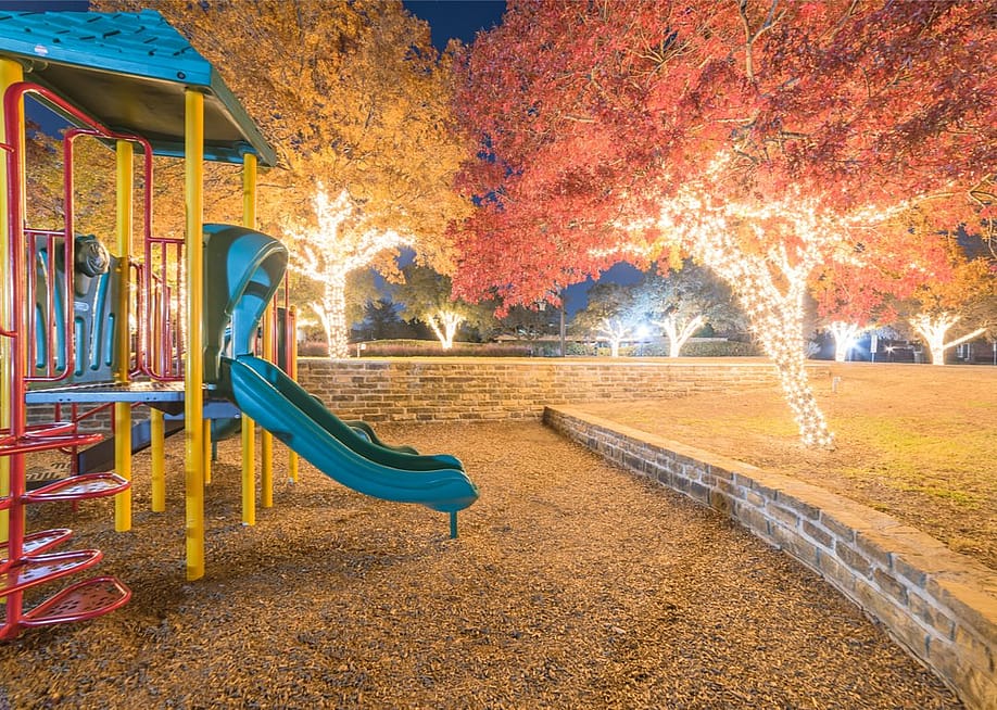 Trong Nguyen // Shutterstock