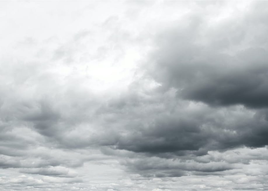 STILLFX // Shutterstock