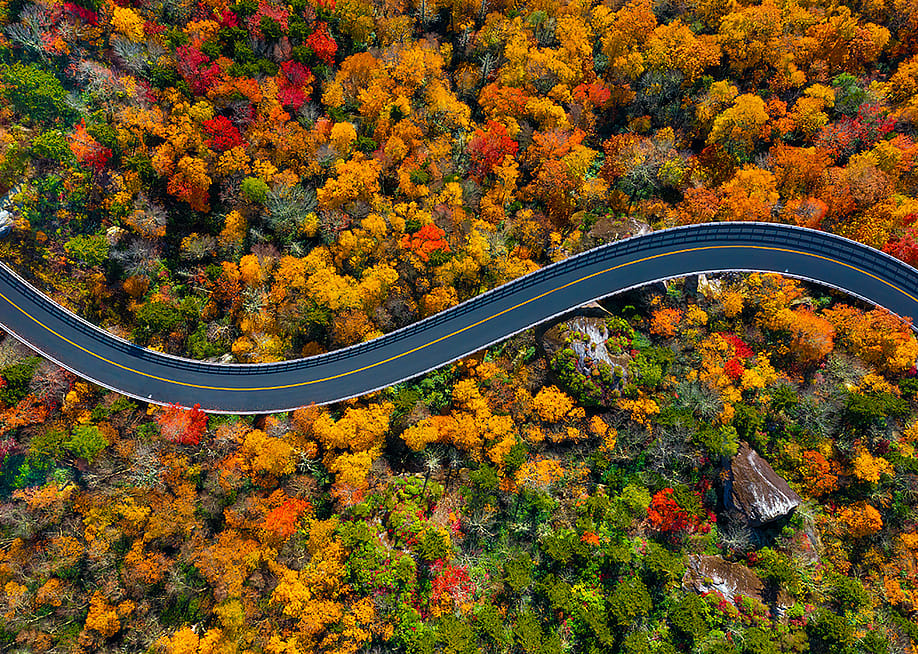 Kirk Wester // Shutterstock