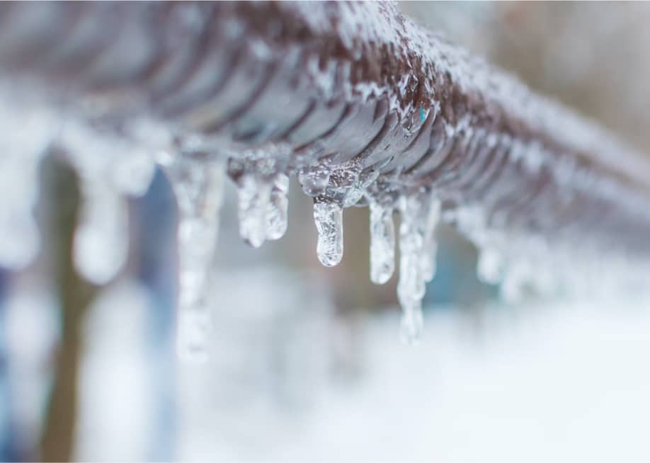 Nazarova Mariia // Shutterstock