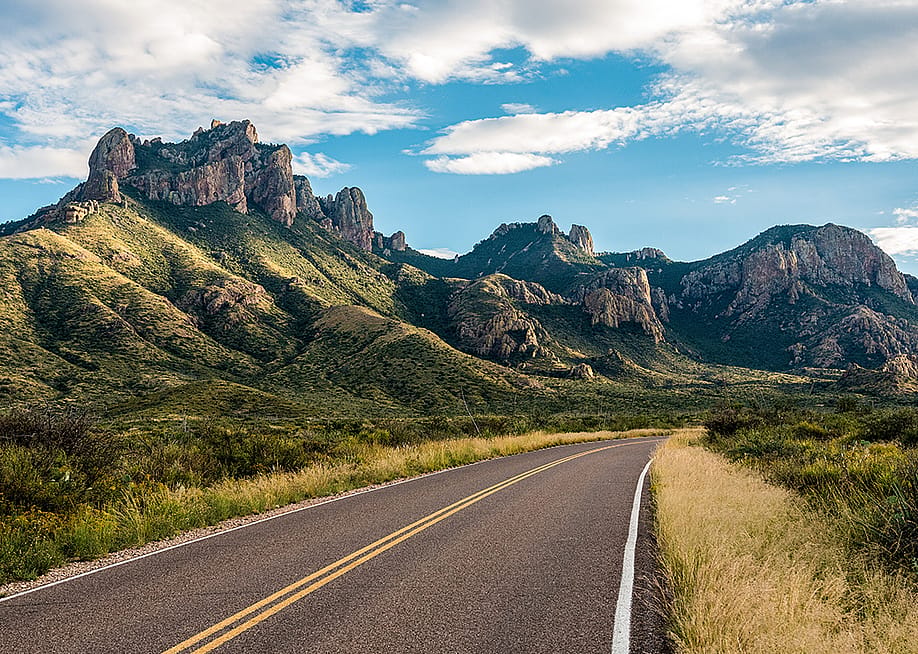 imagoDens // Shutterstock