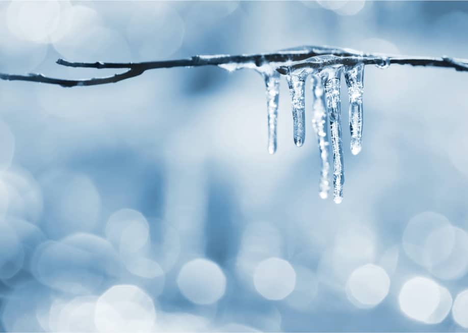 Leonid Ikan // Shutterstock