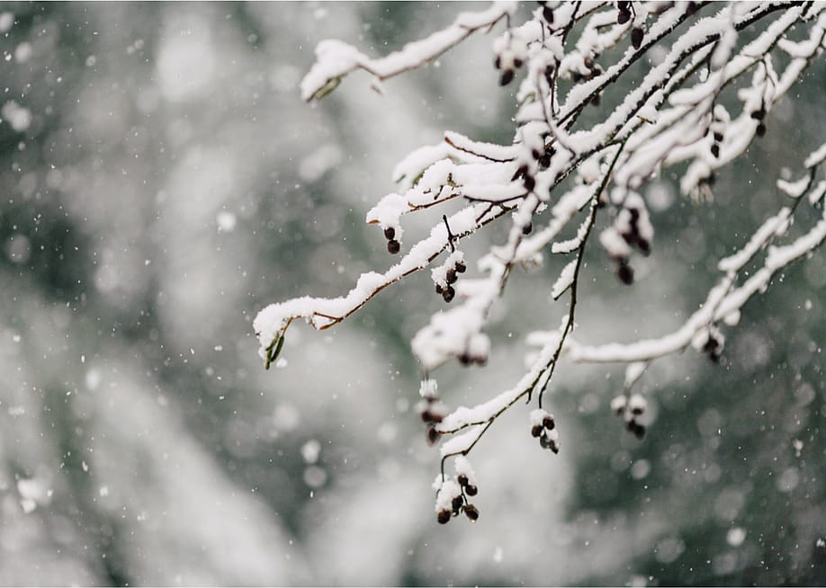 PNPImages // Shutterstock