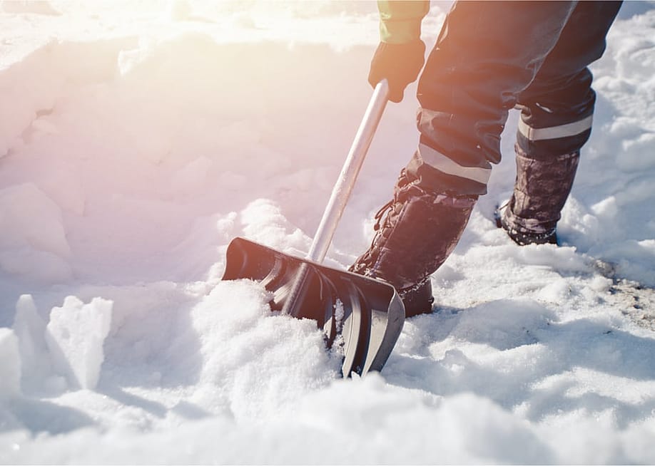 Parilov // Shutterstock