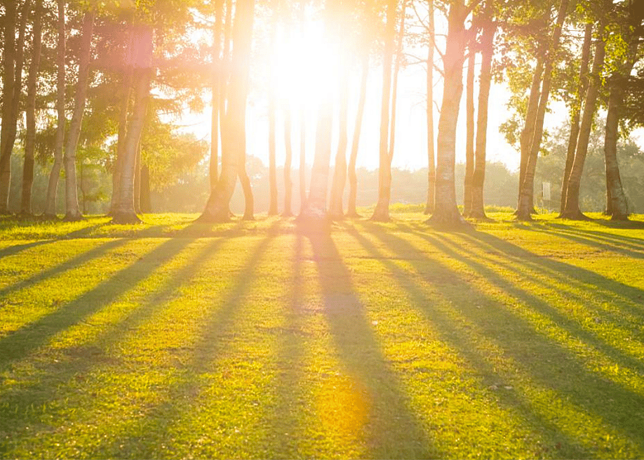aslysun // Shutterstock