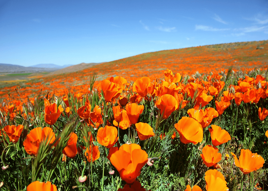 Jason Busa // Shutterstock