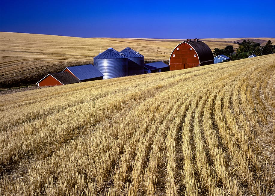 Bob Pool // Shutterstock