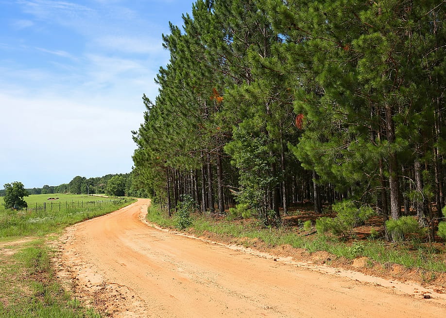 Jillian Cain Photography // Shutterstock