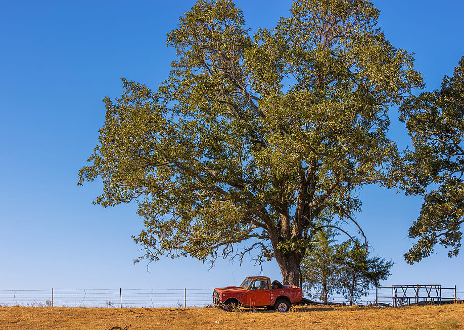 Dee Browning // Shutterstock