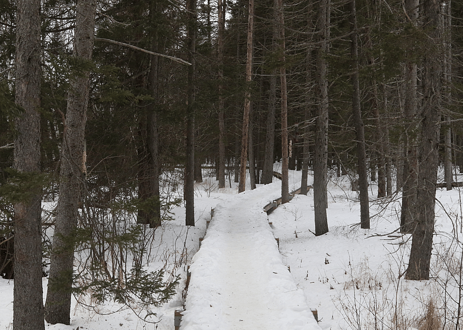 vagabond54 // Shutterstock