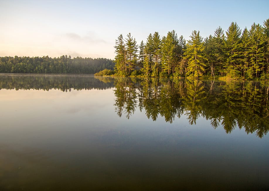 ehrlif // Shutterstock