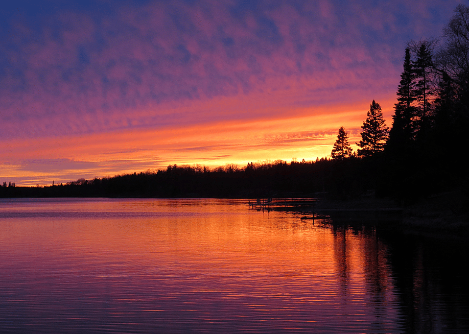 Debbie Center // Shutterstock