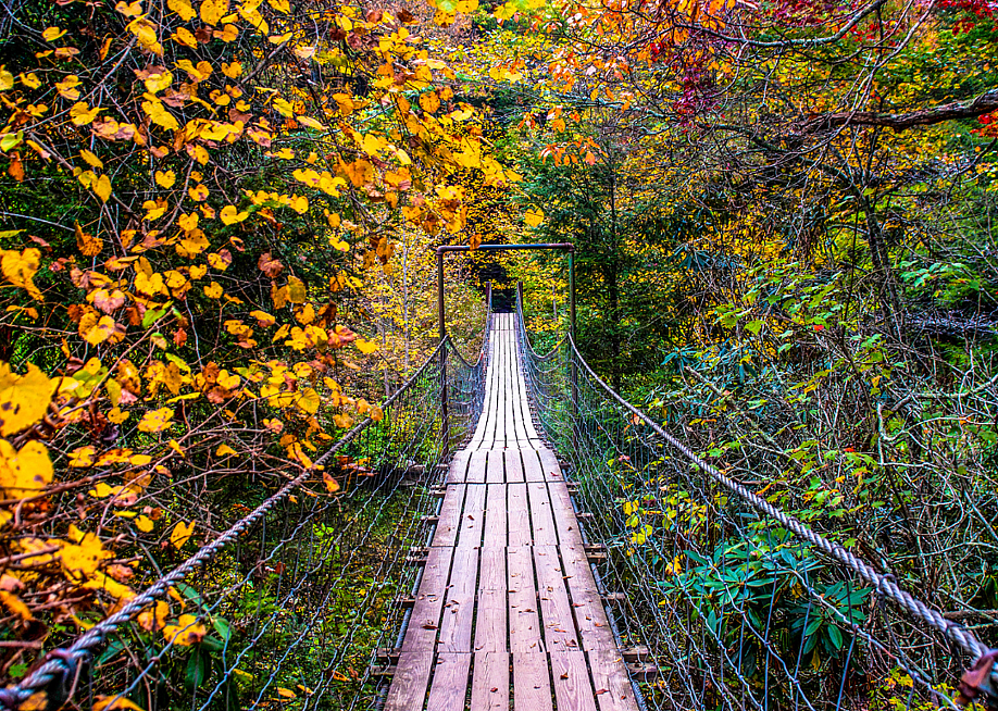 Maxine Livingston // Shutterstock