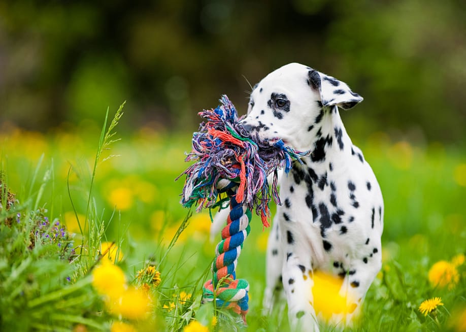 Dora Zett // Shutterstock