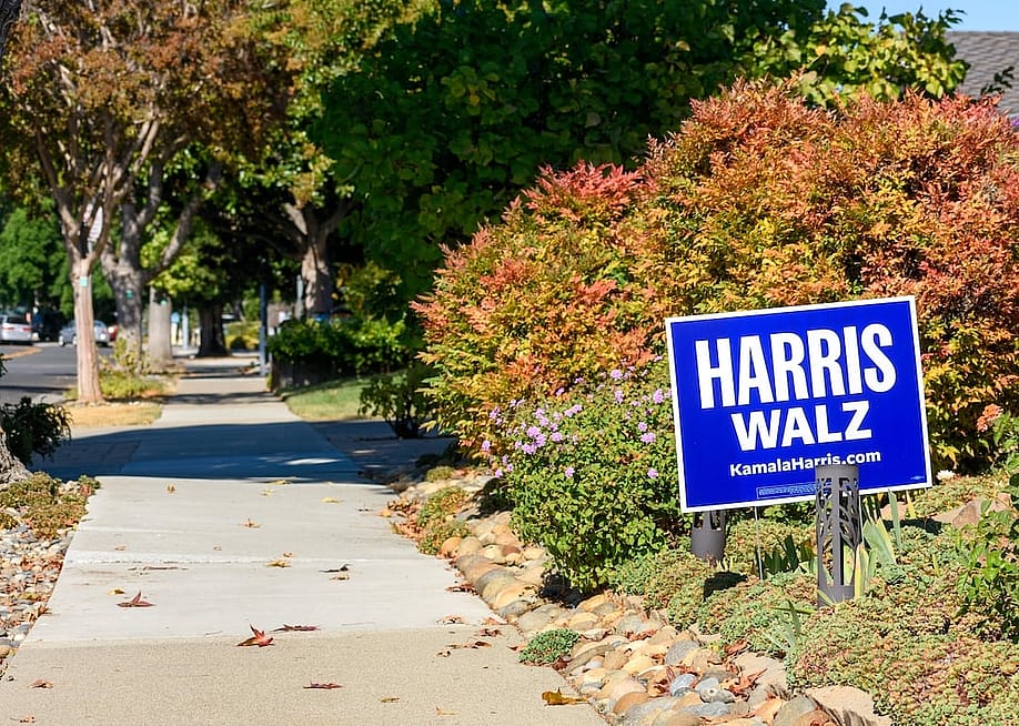 Michael Vi // Shutterstock