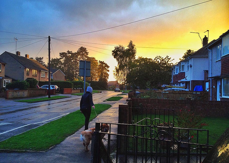 A person walking a dog in a neighborhood during sunset after a rain. — Matthew Ashmore // Shutterstock