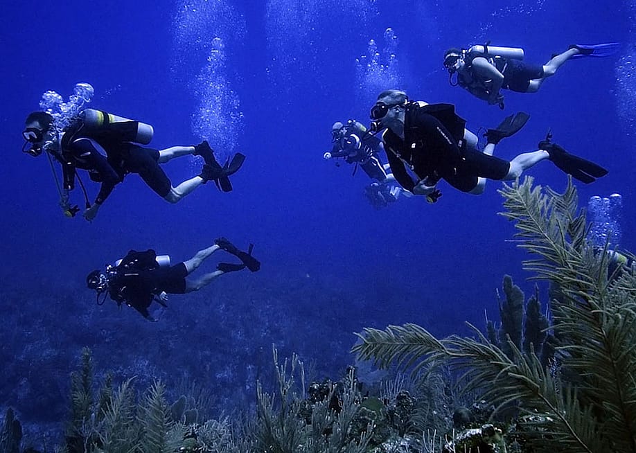 A group of former navy SEALs underwater. — Courtesy of Force Blue