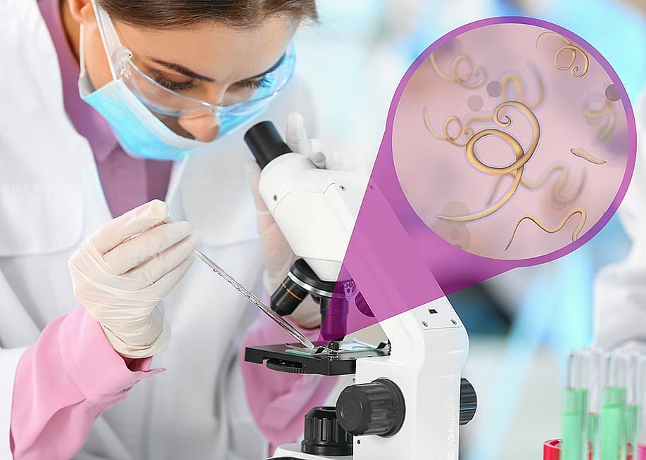Laboratory worker using modern microscope to examine helminths. — New Africa // Shutterstock