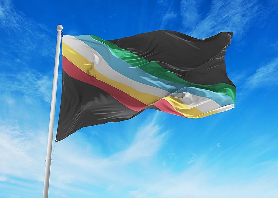 The official flag of Visually Safe Disability Pride. — Maxim Studio // Shutterstock