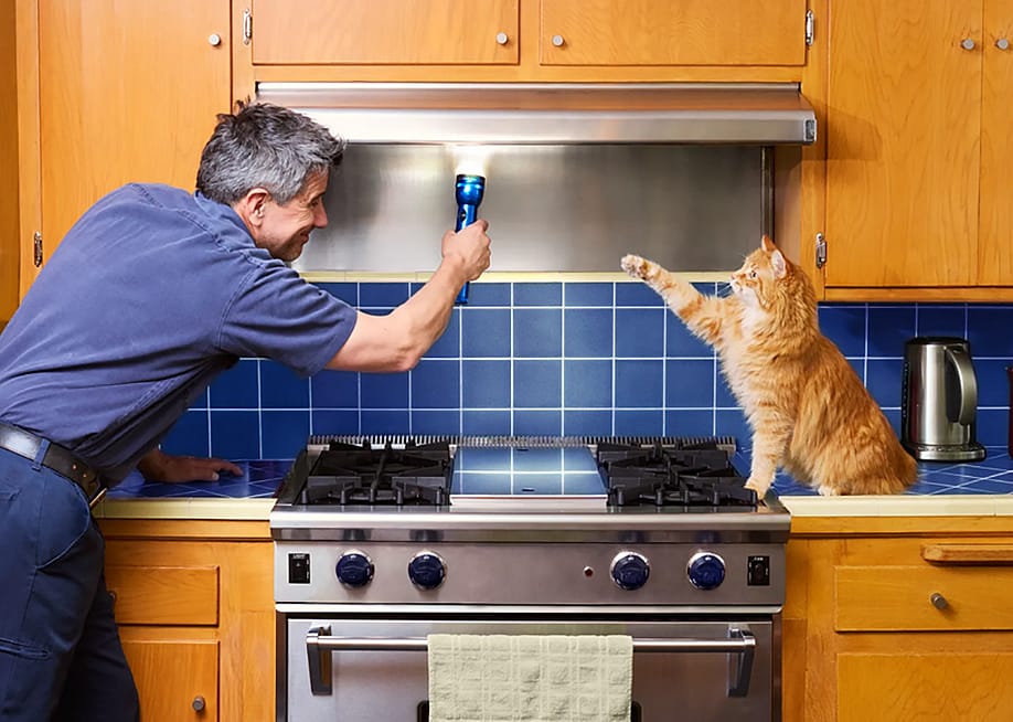 A home owner inspecting the kitchen range hood and a cat is beside the stove. — American Home Shield