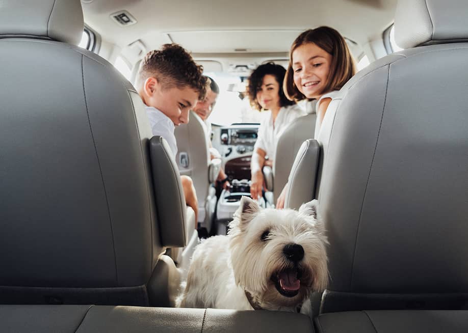 A family of four inside a minivan car traveling with their white terrier dog. — Romvy // Shutterstock