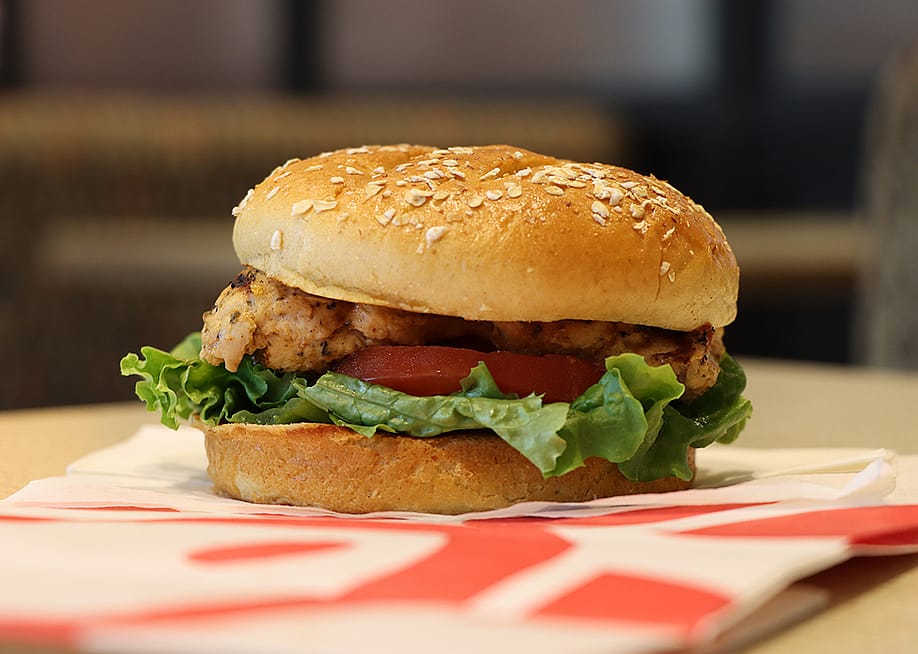 A fast food chicken burger. — Deutschlandreform // Shutterstock