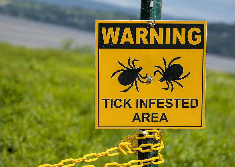 A yellow warning sign telling people of a tick infested area in a grassy area near the Hudson river in Westchester County, New York. — yuriyt // Shutterstock