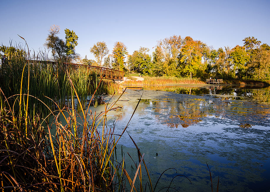 Medicine Lake Park in Plymouth, Minnesota during autumn. — melissamn // Shutterstock