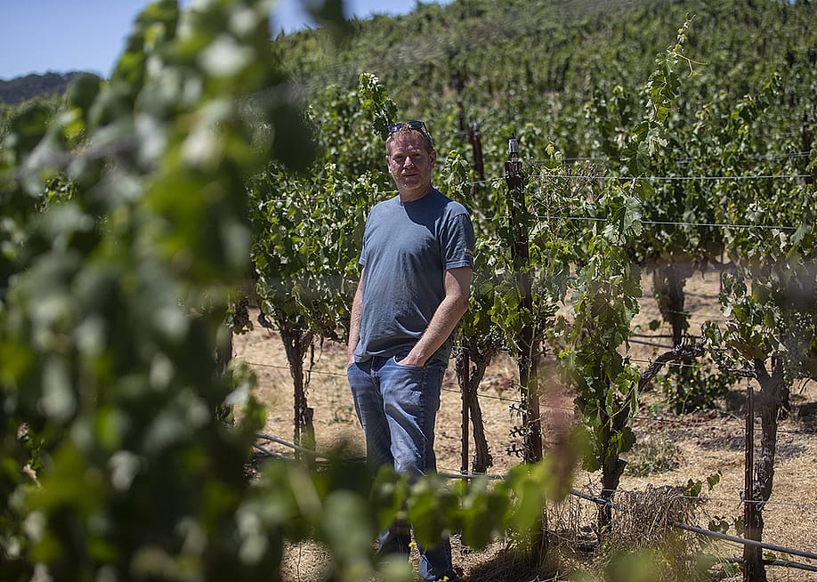 Jason Haas, owner of Tablas Creek Vineyard, stands amongst rows of grape vines at his vineyard in Paso Robles on July 30, 2025. — Larry Valenzuela // CalMatters / CatchLight Local