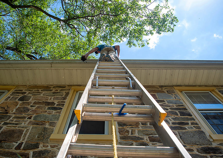 Low angle view of a man on a ladder cleaning a home's gutters. — GEA Stock // Shutterstock