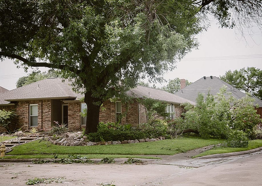 Corner house front yard curbside landscaping damaged by large branch fallen off from tall tree in strong wind heavy storm in Dallas, Texas. — Trong Nguyen // Shutterstock