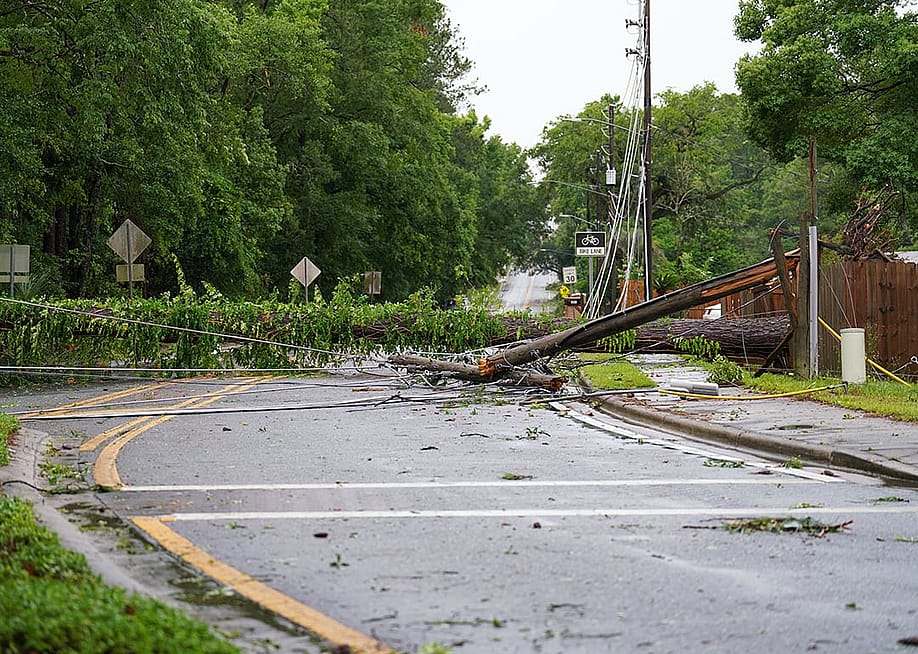 Toppled trees on a road in Tallahassee, Florida after multiple tornadoes and winds. — K M H P H O T O V I D E O // Shutterstock